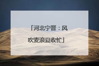 河北宁晋：风吹麦浪夏收忙