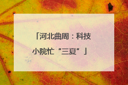 河北曲周：科技小院忙“三夏”