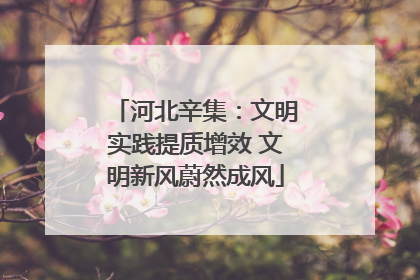 河北辛集：文明实践提质增效 文明新风蔚然成风