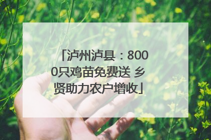 泸州泸县：8000只鸡苗免费送 乡贤助力农户增收