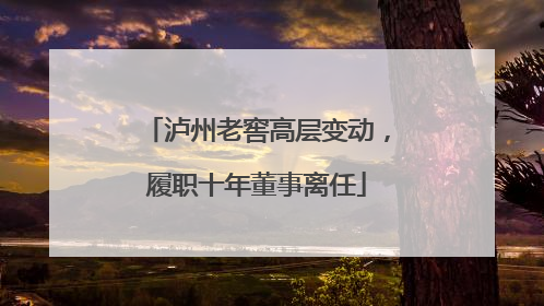 泸州老窖高层变动，履职十年董事离任