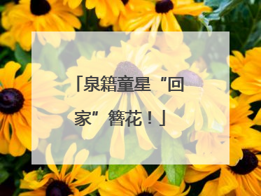 泉籍童星“回家”簪花！