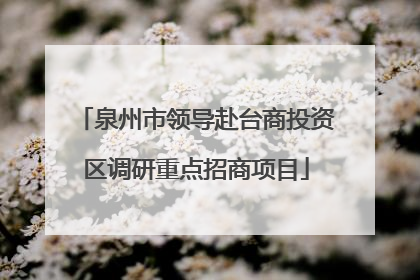 泉州市领导赴台商投资区调研重点招商项目