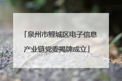 泉州市鲤城区电子信息产业链党委揭牌成立