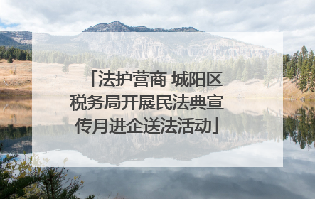 法护营商 城阳区税务局开展民法典宣传月进企送法活动