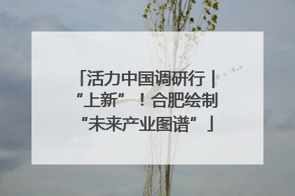活力中国调研行｜“上新”！合肥绘制“未来产业图谱”