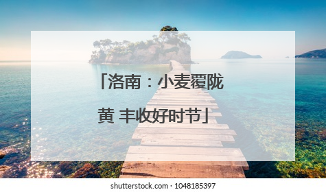 洛南：小麦覆陇黄 丰收好时节