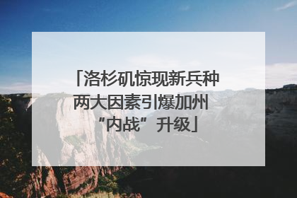 洛杉矶惊现新兵种 两大因素引爆加州“内战”升级