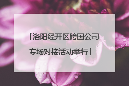 洛阳经开区跨国公司专场对接活动举行