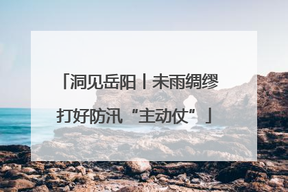 洞见岳阳丨未雨绸缪 打好防汛“主动仗”