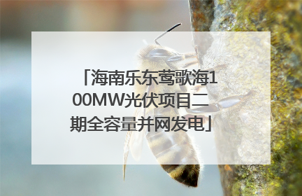 海南乐东莺歌海100MW光伏项目二期全容量并网发电