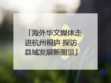 海外华文媒体走进杭州桐庐 探访县域发展新图景