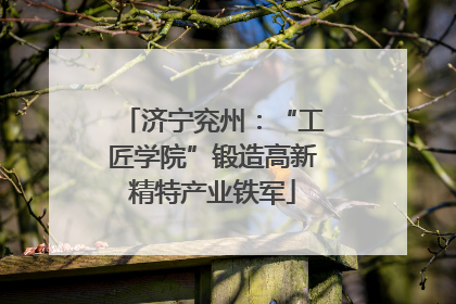 济宁兖州：“工匠学院”锻造高新精特产业铁军