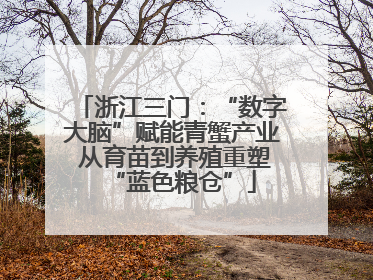 浙江三门：“数字大脑”赋能青蟹产业 从育苗到养殖重塑“蓝色粮仓”