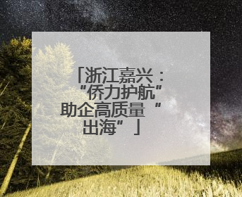浙江嘉兴：“侨力护航”助企高质量“出海”