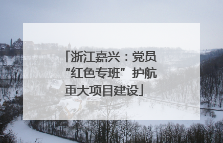 浙江嘉兴：党员“红色专班”护航重大项目建设