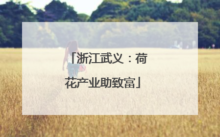 浙江武义：荷花产业助致富