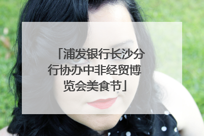 浦发银行长沙分行协办中非经贸博览会美食节