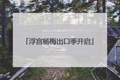 浮宫杨梅出口季开启