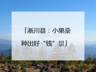 淅川县：小果桑种出好“钱”景