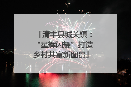 清丰县城关镇：“星辉闪耀”打造乡村共富新图景