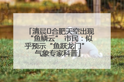 清晨﻿合肥天空出现“鱼鳞云” 市民：似乎预示“鱼跃龙门” 气象专家科普