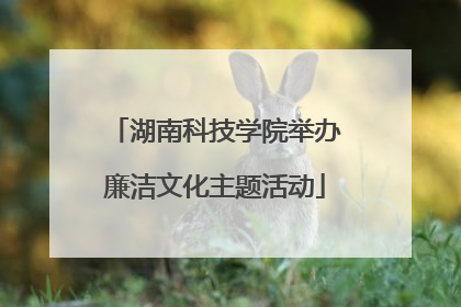 湖南科技学院举办廉洁文化主题活动