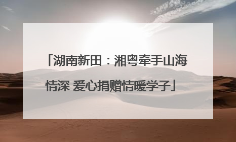 湖南新田：湘粤牵手山海情深 爱心捐赠情暖学子