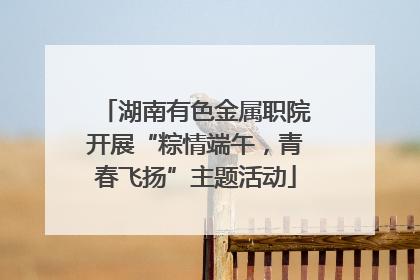 湖南有色金属职院开展“粽情端午，青春飞扬”主题活动