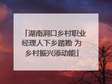 湖南洞口乡村职业经理人下乡踏勘 为乡村振兴添动能
