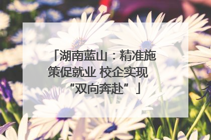 湖南蓝山：精准施策促就业 校企实现“双向奔赴”
