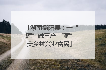 湖南衡阳县：一“莲”融三产 “荷”美乡村兴业富民