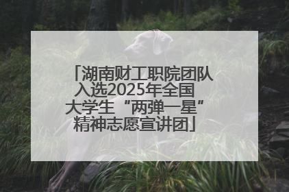 湖南财工职院团队入选2025年全国大学生“两弹一星”精神志愿宣讲团