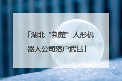湖北“荆楚”人形机器人公司落户武昌