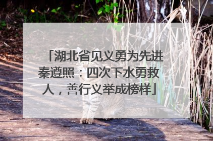 湖北省见义勇为先进秦遵照：四次下水勇救人，善行义举成榜样
