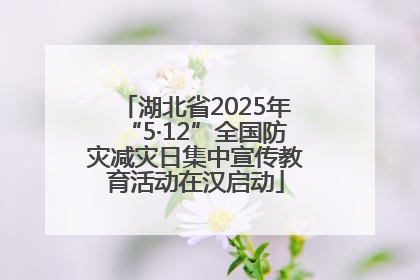 湖北省2025年“5·12”全国防灾减灾日集中宣传教育活动在汉启动