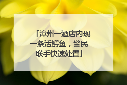 漳州一酒店内现一条活鳄鱼，警民联手快速处置