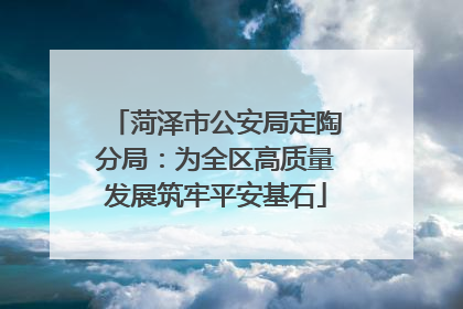 菏泽市公安局定陶分局：为全区高质量发展筑牢平安基石