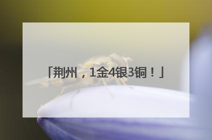 荆州，1金4银3铜！