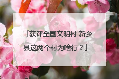 获评全国文明村 新乡县这两个村为啥行？
