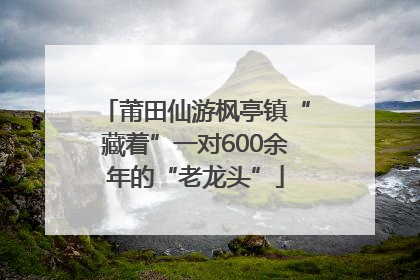 莆田仙游枫亭镇“藏着”一对600余年的“老龙头”