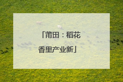 莆田：稻花香里产业新