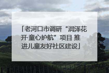 老河口市调研“润泽花开·童心护航”项目 推进儿童友好社区建设