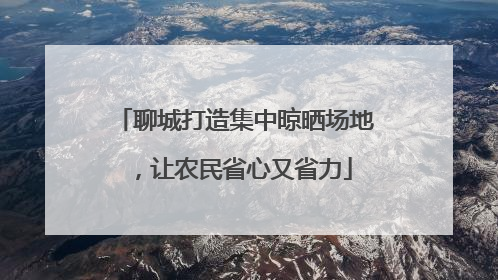 聊城打造集中晾晒场地，让农民省心又省力