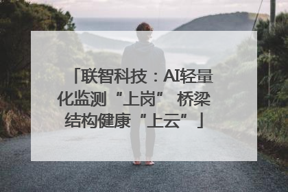 联智科技：AI轻量化监测“上岗” 桥梁结构健康“上云”