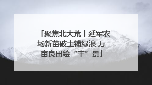 聚焦北大荒丨延军农场新苗破土铺绿浪 万亩良田绘“丰”景