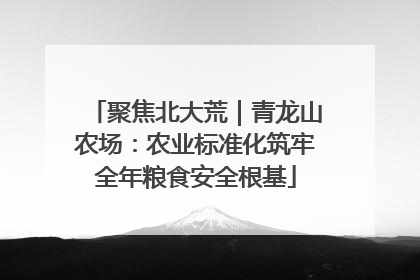 聚焦北大荒｜青龙山农场：农业标准化筑牢全年粮食安全根基