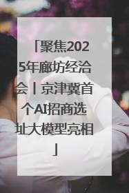 聚焦2025年廊坊经洽会丨京津冀首个AI招商选址大模型亮相