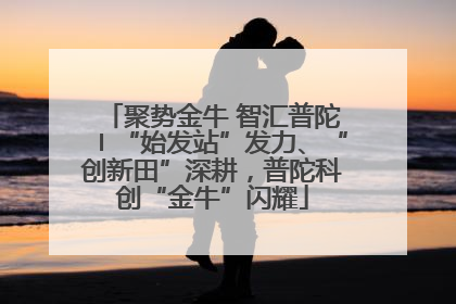 聚势金牛 智汇普陀〡“始发站”发力、“创新田”深耕，普陀科创“金牛”闪耀