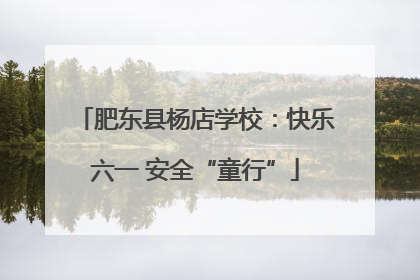 肥东县杨店学校：快乐六一 安全“童行”